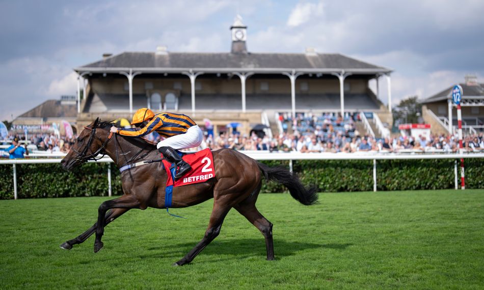 Dancing Gemini favored in French 2,000 Guineas with new jockey revealed for Classic contender