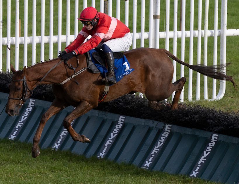 High Class Hero, a Leading Albert Bartlett Contender, Poised to Validate Cheltenham Potential at Thurles or Leopardstown