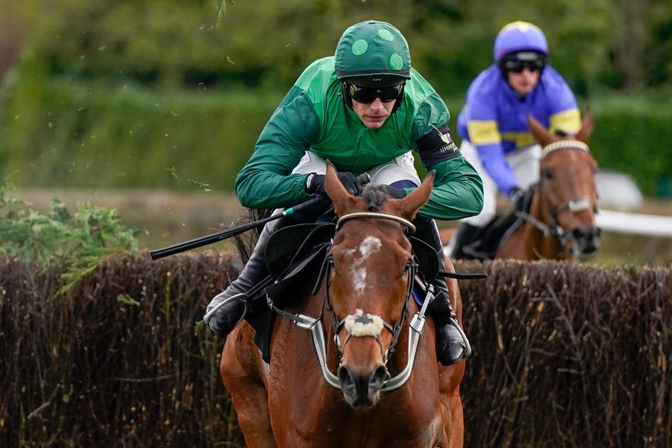 El Fabiolo favored in Dublin Chase as Willie Mullins gears up for DRF dominance