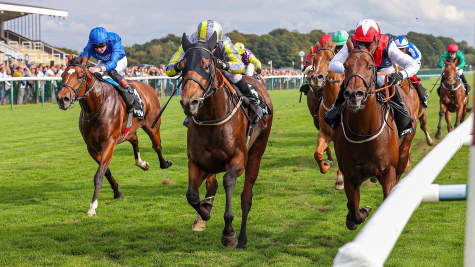 Analysis and Key Quotes for Competitive Epsom Sprint Handicap in Racing Post