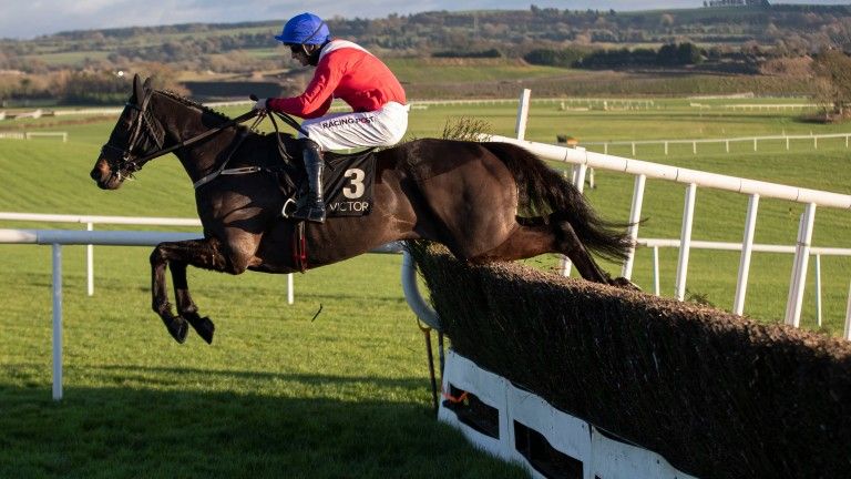 Ferny Hollow’s unexpected appearance at Dublin Racing Festival leaves me impressed with his progress
