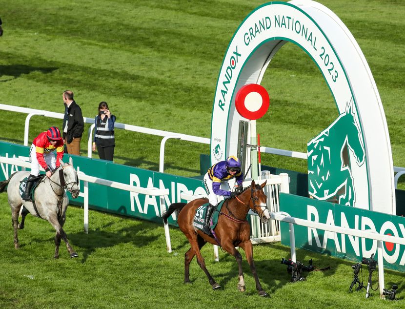 94 horses entered for the 2024 Randox Grand National, with 61 trained in Ireland