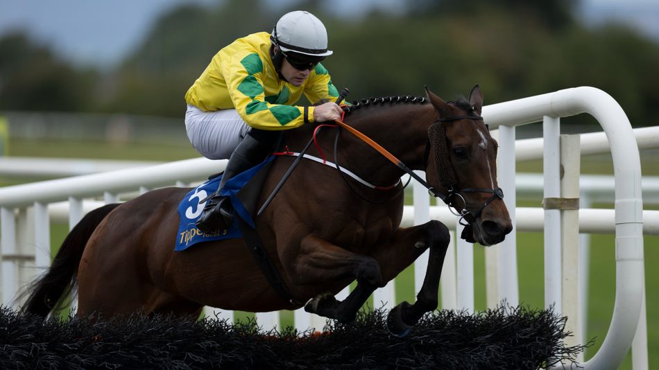 Effernock Fizz aims to continue success in Scottish Champion Hurdle after Fairyhouse win