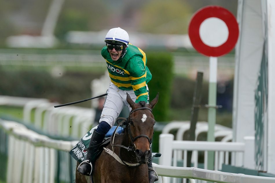 Maximus Triumphs in 2024 Grand National at Aintree