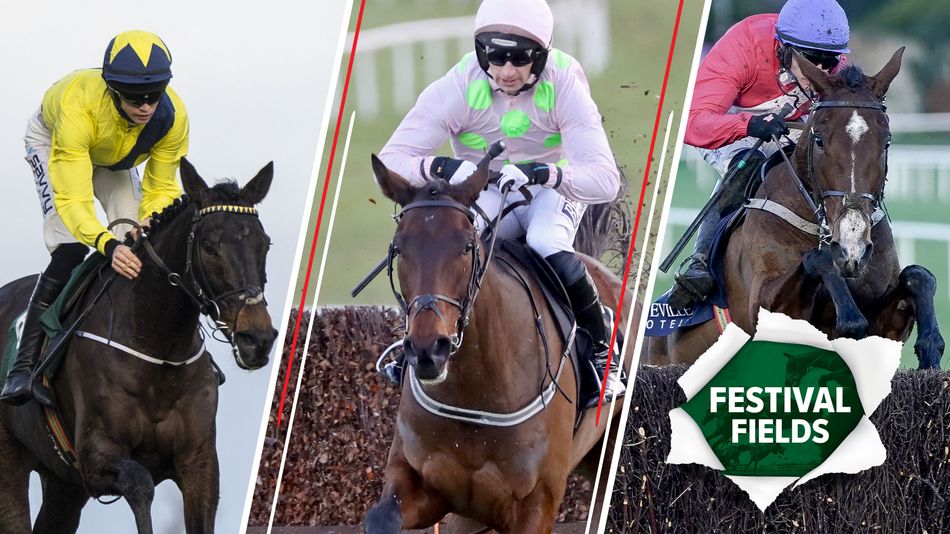 Entries for Arkle, Turners, and Brown Advisory novice chases: who are the standout contenders?
