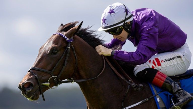 Crypto Force to Compete in Prix Ganay as Dallas Star Features in Epsom Derby Entry