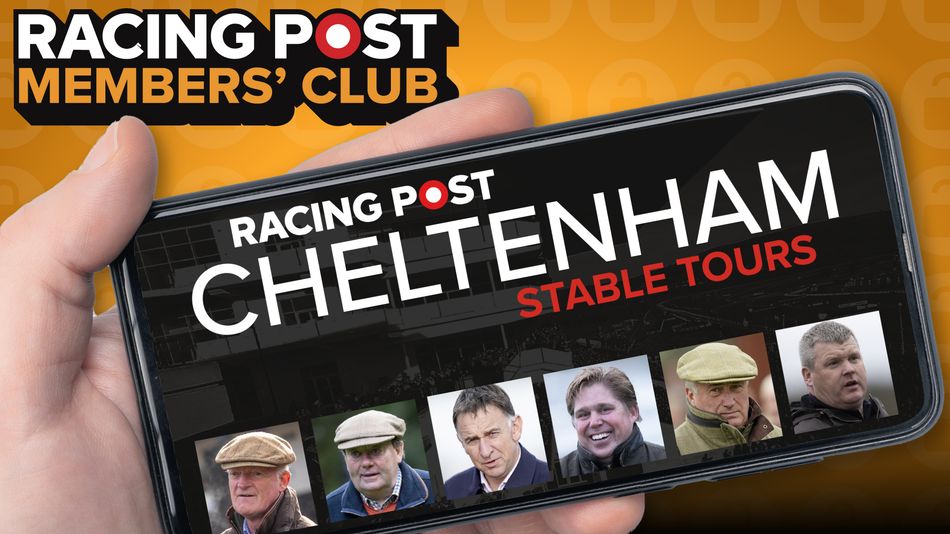 Cheltenham Stable Tours: Prepare for the festival with 50% off the ultimate racing package