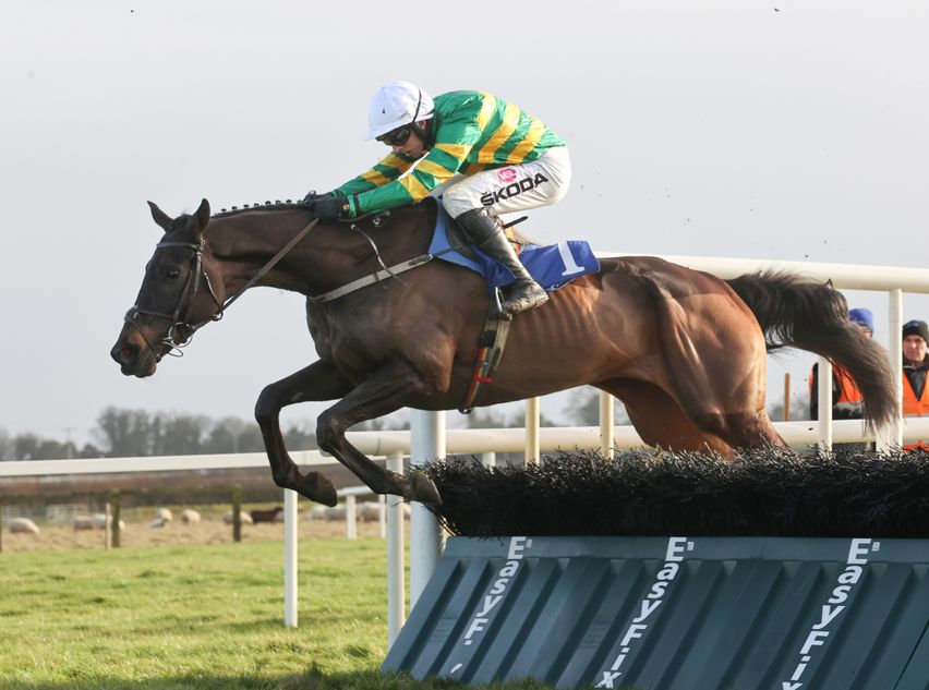 Bookies are hesitant about Mirazur West’s Cheltenham prospects after his first hurdle victory