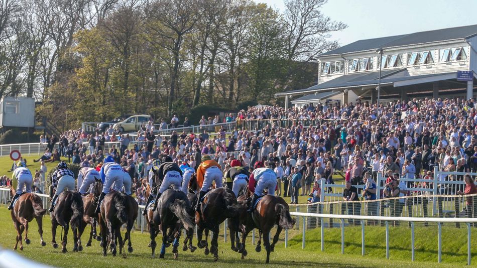 Hexham Racecourse Regains Favor with Elon Musk After Ban from X Racing Post