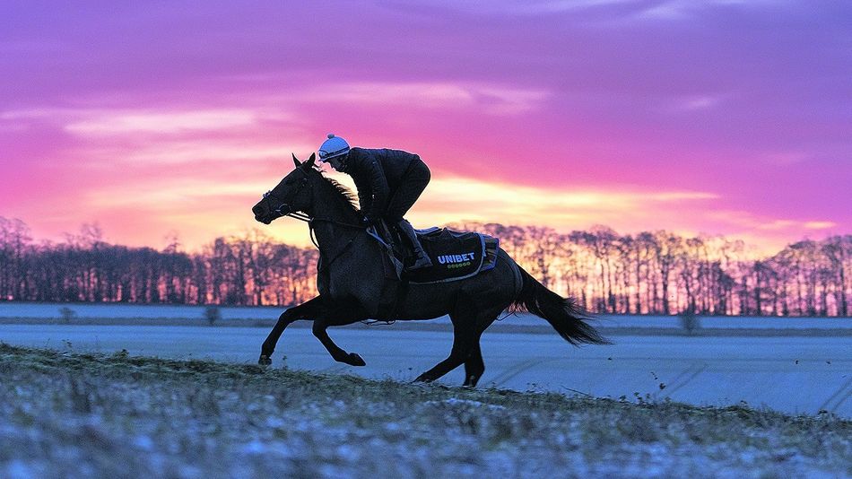 Racecourses prepare for freezing temperatures next week as concerns rise over imminent cold snap