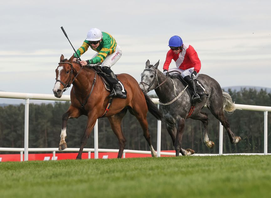 Unbeaten A Dream To Share makes comeback in bumpers at Leopardstown as hurdling plans put on hold