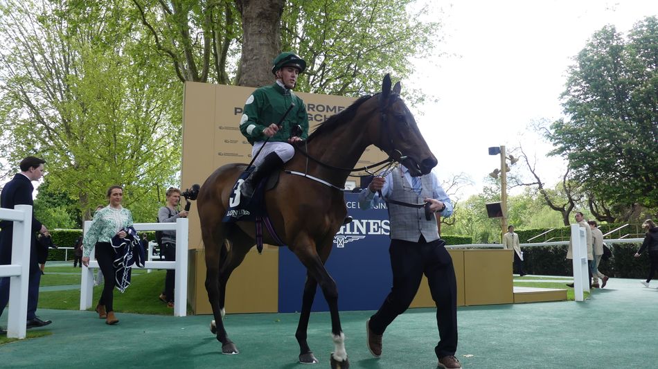 Joseph O’Brien has ambitious plans for American Sonja after Longchamp victory