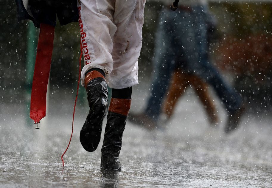 Flat trainers across the country struggling due to wettest 12 months in 250 years
