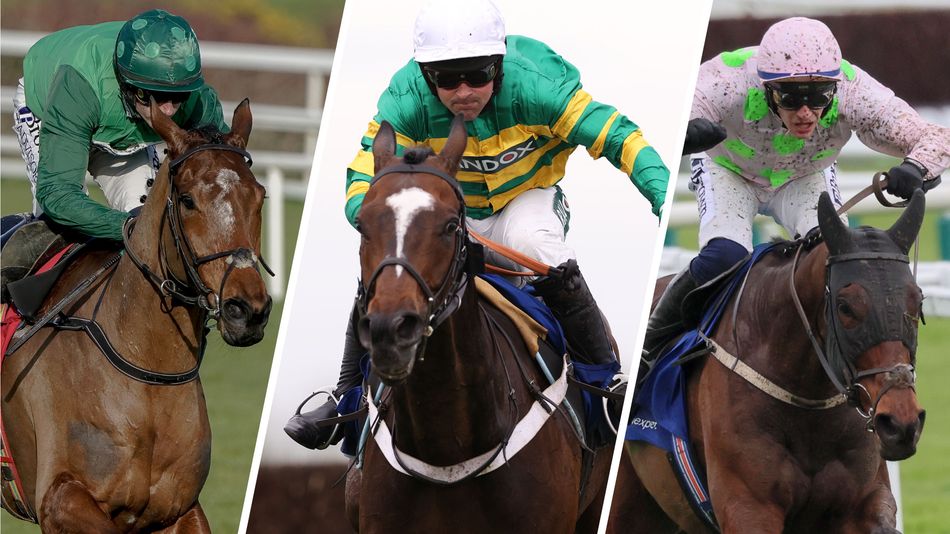 The Fabiolo, Jonbon and Gaelic Warrior – who will win the Celebration Chase at Sandown? Three experts give their opinion