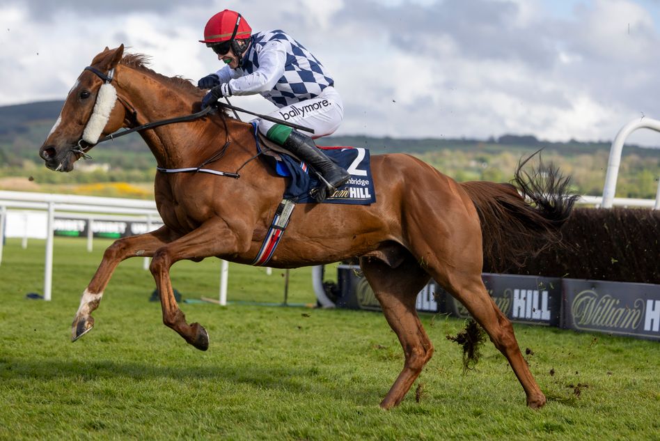 Banbridge edges Captain Guinness in thrilling Champion Chase to deliver victory for patient wait.