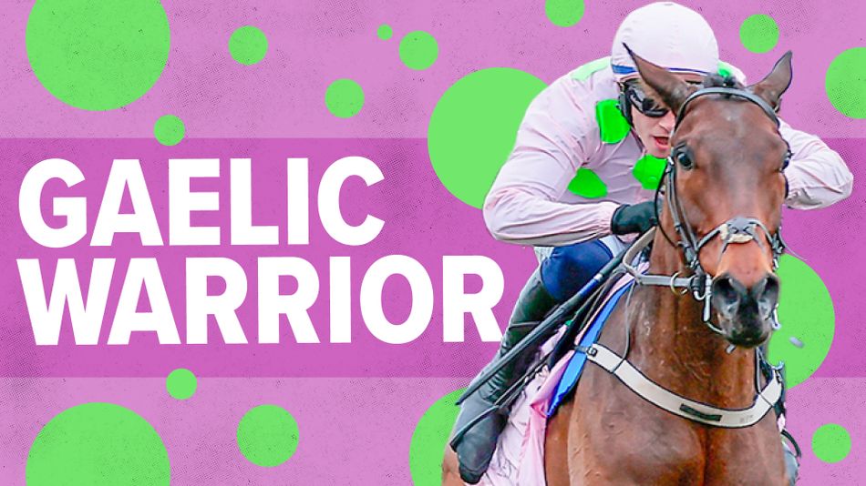 Gaelic Warrior, an impressive Arkle winner, returns to action with high hopes to prove the best.