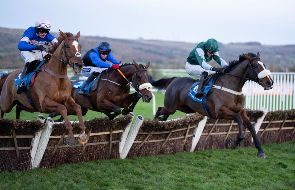 Minella Missile, Undefeated Novice Hurdler, to Skip Cheltenham Festival and Focus on Aintree Instead, Racing Post Reports