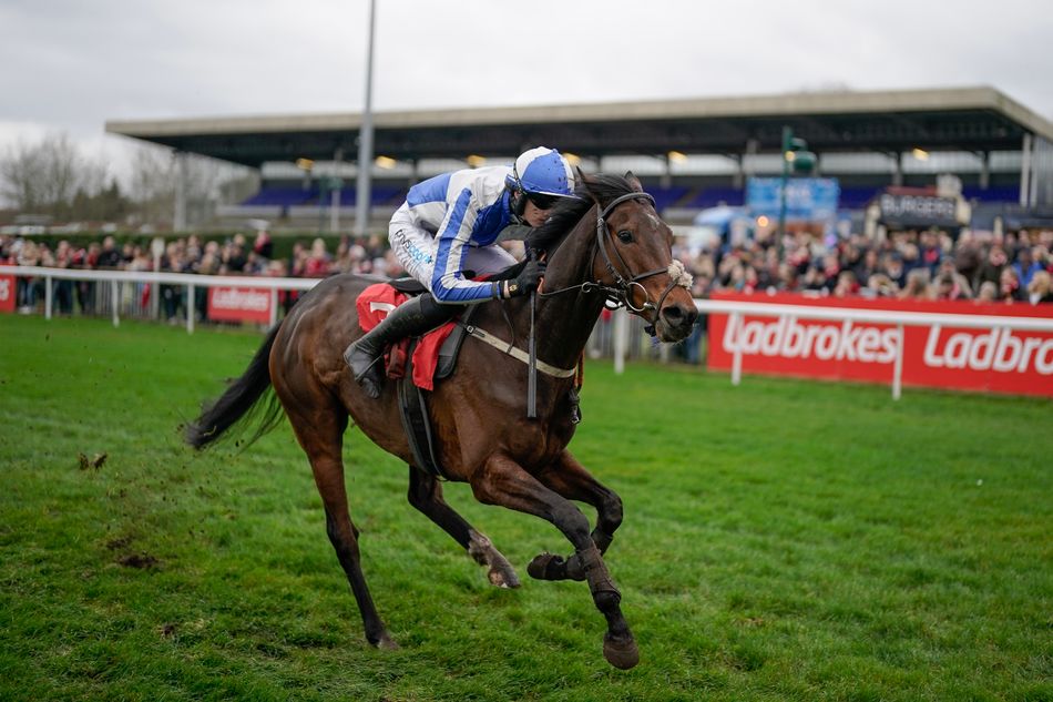 Which 16-1 contender has the Betfair Hurdle in his sights?