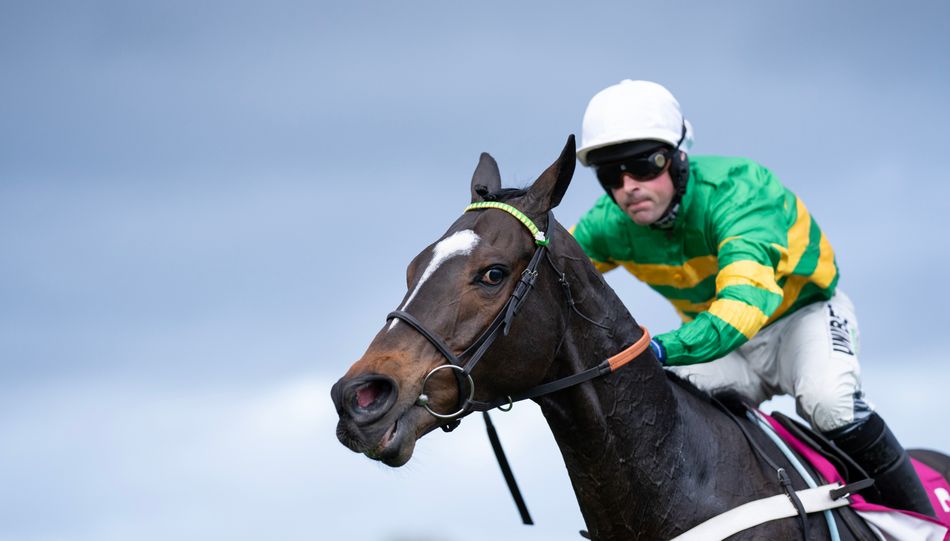 Nico de Boinville sidelined with injury, James Bowen to ride Jonbon in Clarence House Chase