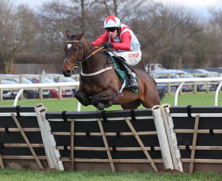 Cheltenham Festival options for Maasai Mara after an impressive opening of his hurdling account