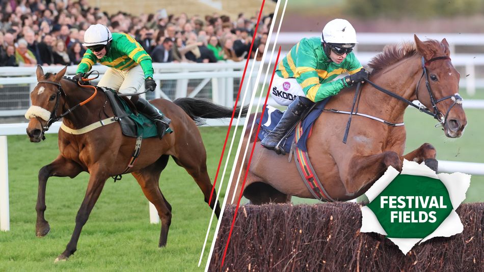 Iroko and Corbetts Cross’ Cheltenham Festival novice race targets narrowed down after scratchings.