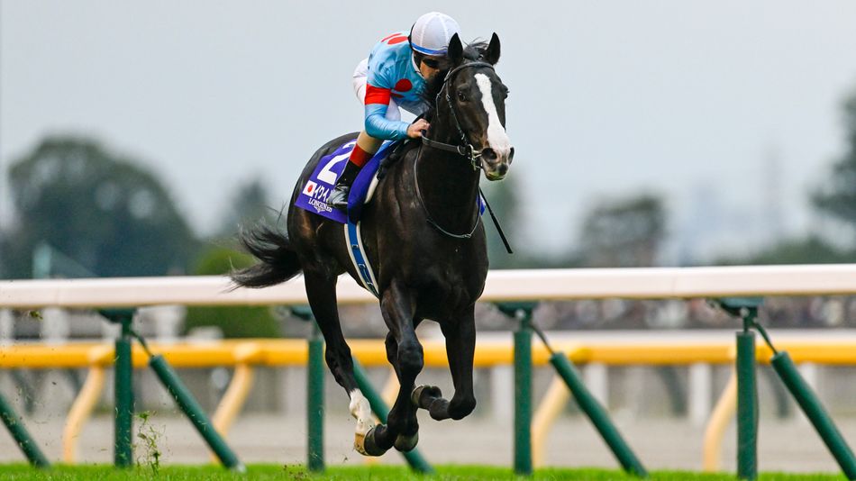 Japanese Superstar Wins World’s Best Racehorse Award, Equinox Rated 7lb Higher Than Ace Impact in Equinox vs Ace Impact Race – Racing Post