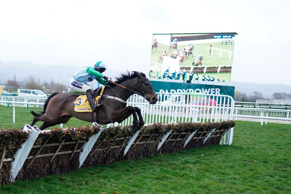 You Wear It Well set to run at Haydock on Saturday while Jamie Snowden considers Cheltenham handicap entry for top mare.