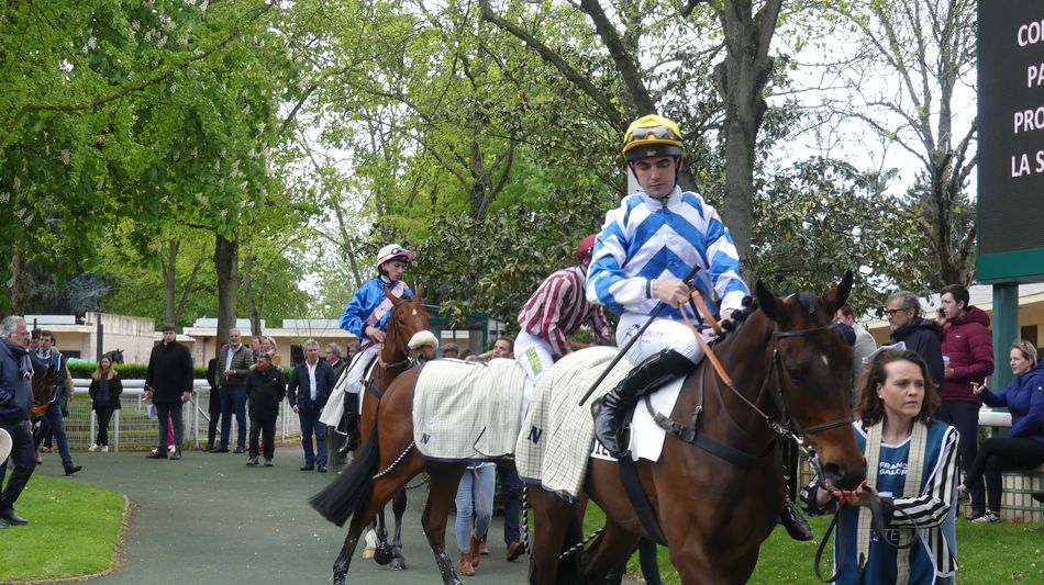 Report from Racing Post: “Crowd returns, already working on restocking after State Man and Sir Gino at Auteuil