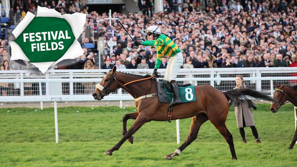 Analyzing the Major Novice Chase Entries in Cheltenham: Insights from David Jennings and Stuart Riley