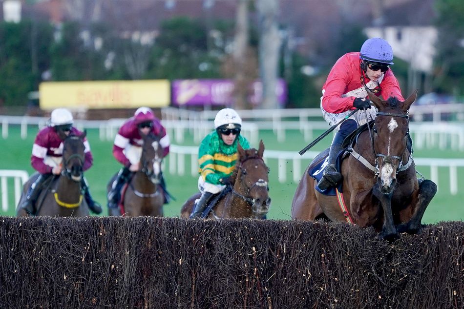 Unbeaten chaser Grangeclare West to miss Brown Advisory and is out for the rest of the season