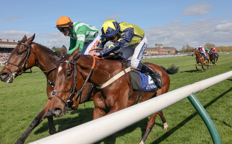 Toby Lawes dreams of Aintree after Surrey Quest’s narrow Scottish National defeat