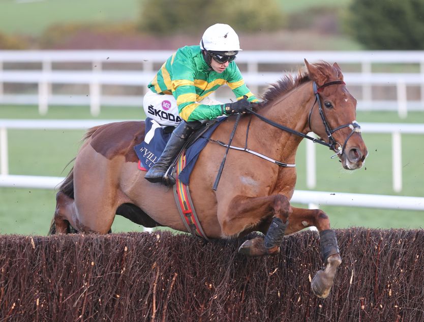 Corbetts Cross ‘unaffected physically’ after Fairyhouse incident, won’t race before Cheltenham