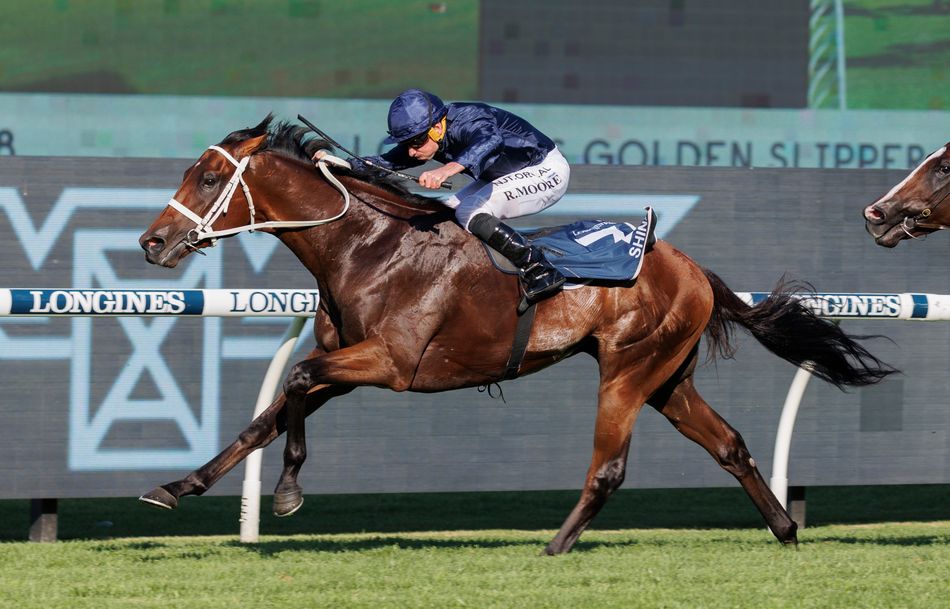 Golden Slipper winner Shinzo, an exceptionally talented two-year-old, joins Coolmore roster as a blue-blooded addition.