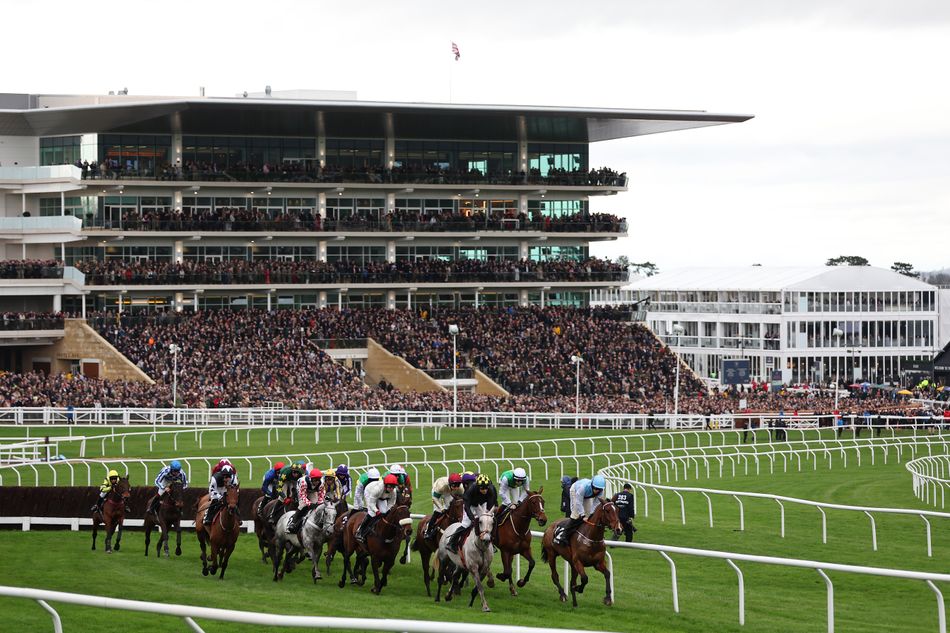 Cheltenham to review festival program after decrease in quality.