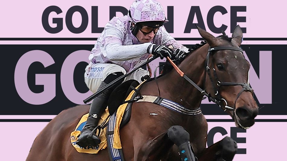 Golden Ace aims to shine at Prestbury Park after failed Aintree outing