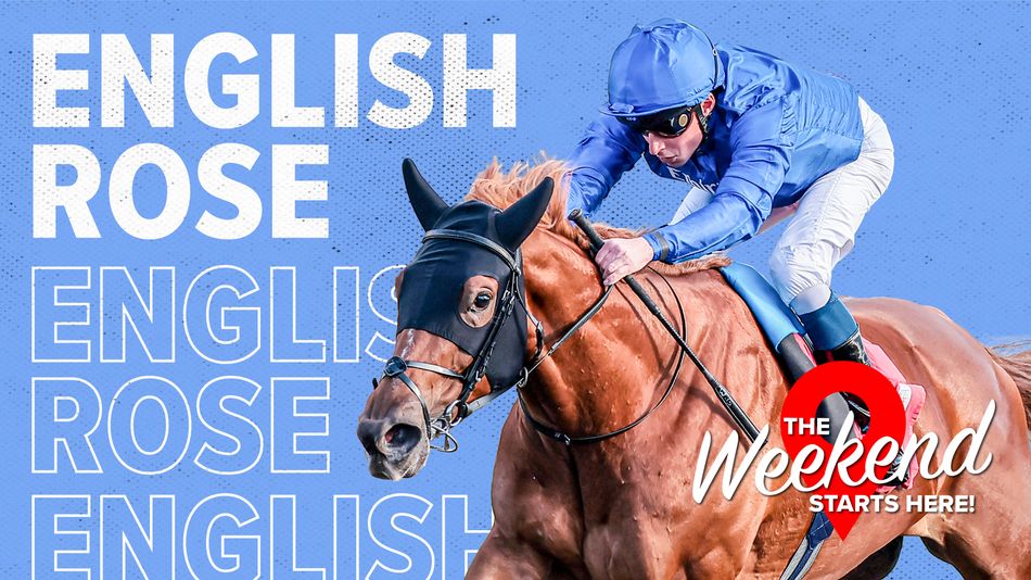 Can the undefeated English Rose continue Godolphin’s dominance in the Cape Verdi?