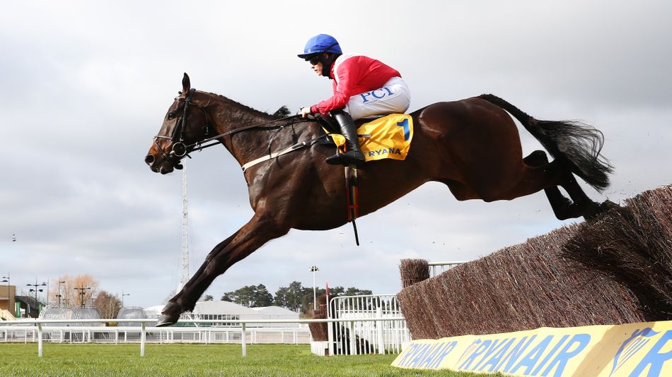 Injury forces two-time Ryanair Chase winner Allaho to withdraw from Cheltenham Festival