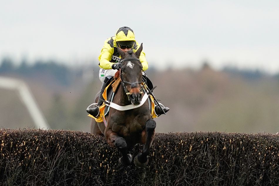 Newbury Denman Chase Entries: Shishkin to Face Four Rivals on Saturday