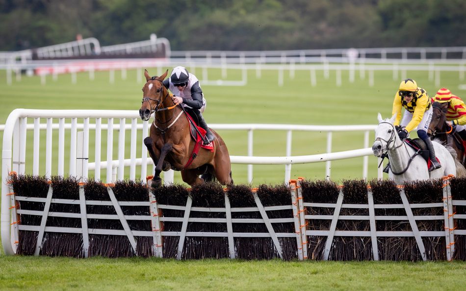 Teahupoo makes impressive double win at Cheltenham-Punchestown Stayers’ Hurdle