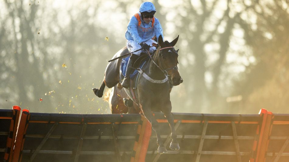 Marie Secures Place in Mares’ Hurdle after Victory in Doncaster Grade 2