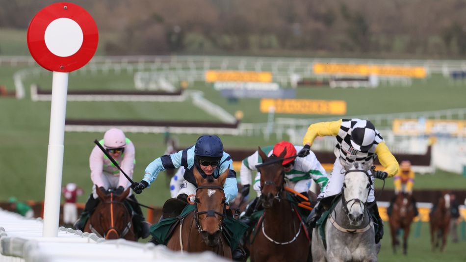 Picking Cheltenham Winners: A Unique System for Success
