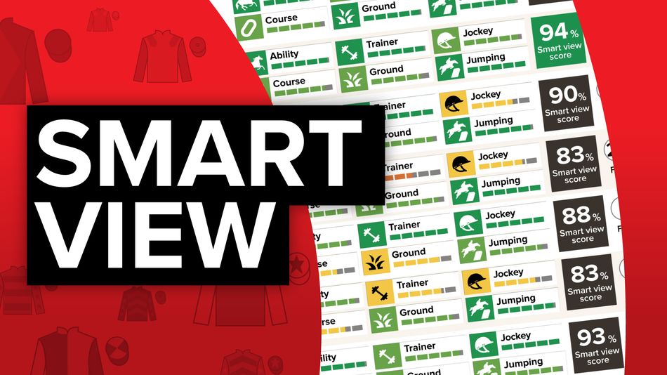 Discover the winner of the bet365 Gold Cup with Smart View’s innovative new racecard