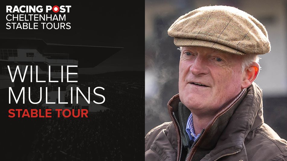 Willie Mullins’ Guide to His Cheltenham Festival Team: His Horse-By-Horse Preview for the Champion Bumper Race