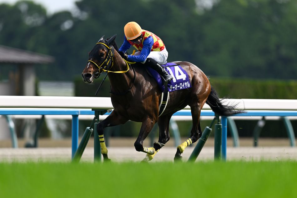 Royal 20-1 for Melbourne Cup after winning the Grade 1 Tenno Sho Spring