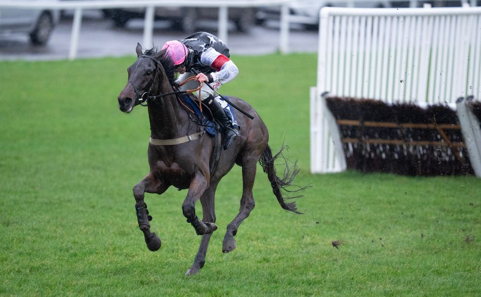 Salver, leading hope for Triumph Hurdle, ready for Haydock on Saturday but uncertain for Cheltenham