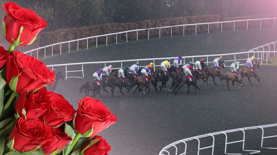 Valentine’s Day-themed Winners: Love is in the Air at Racing Post