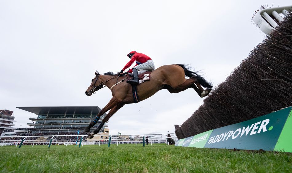 Another Potential Upset at Clarence House as Editeur Du Gite Camp Aims for Cheltenham Success